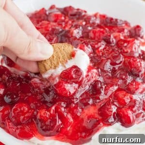 Hand holding a gingersnap cookie dipping into a bowl of Cranberry Cheesecake Dip.