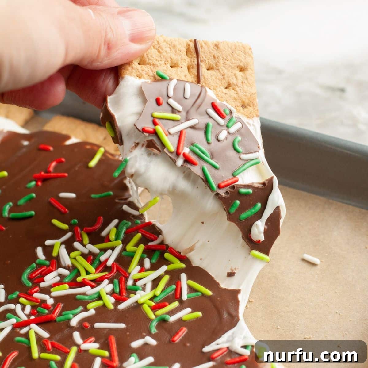 Irresistible S'mores Bark 8 Close-up shot of S'mores bark pieces arranged on a platter.