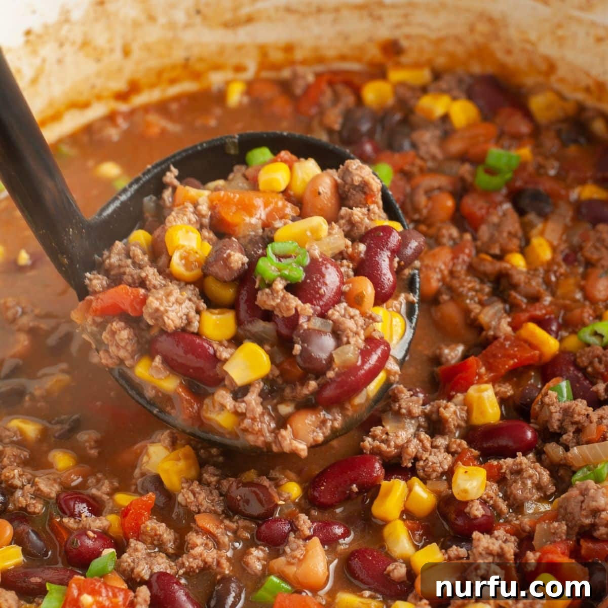 Southwestern Fiesta Soup 8 A ladle filled with rich Santa Fe soup, showcasing the medley of beans, ground beef, and corn against a warm, inviting backdrop.