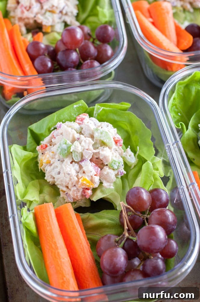 Chicken salad on a bed of lettuce, carrot sticks and grapes