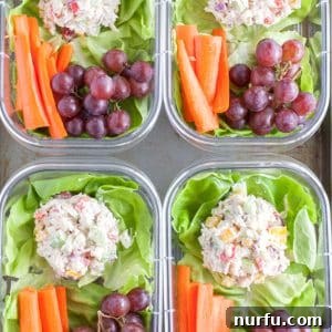 Containers with chicken salad, carrots and grapes.
