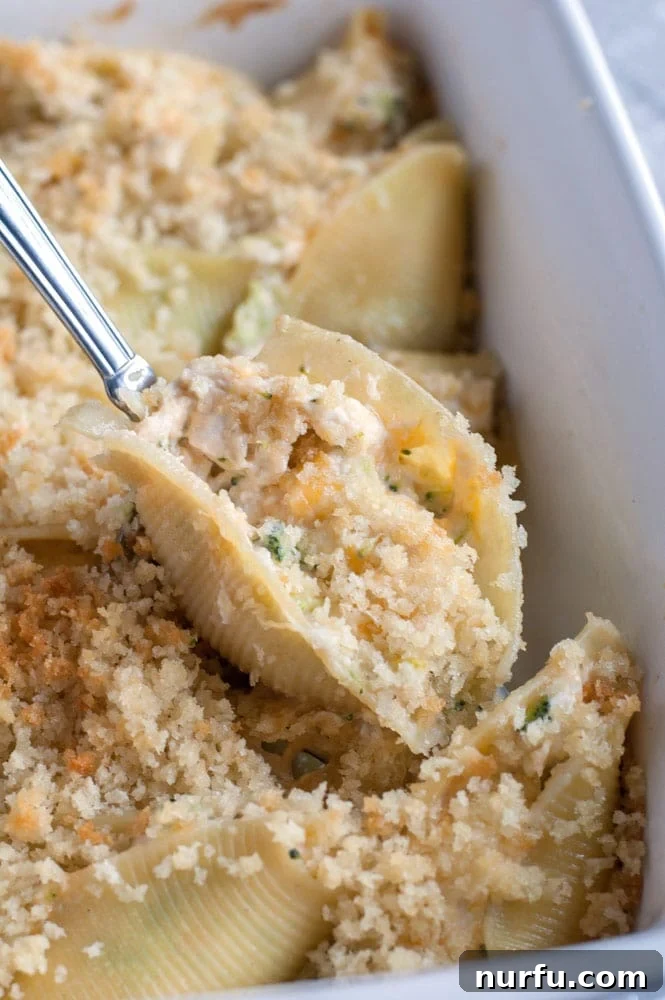 Creamy Chicken and Broccoli Shells 2 chicken broccoli stuffed shells