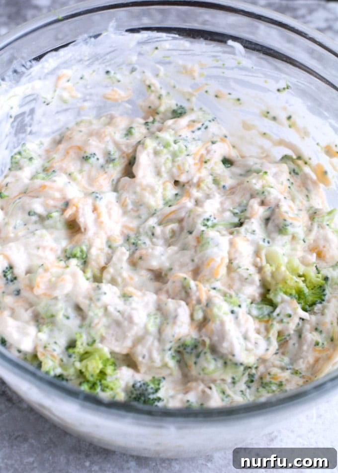 Creamy Chicken and Broccoli Shells 3 chicken broccoli alfredo stuffed shells