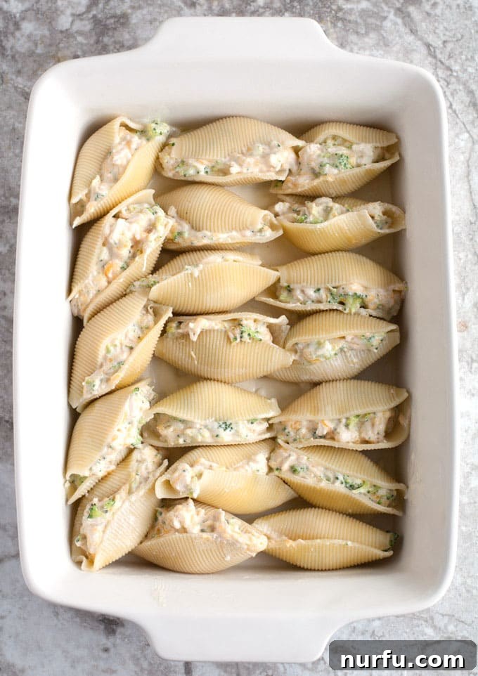 Creamy Chicken and Broccoli Shells 4 stuffed shells