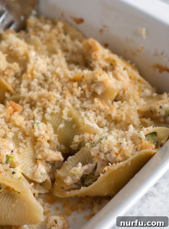 Creamy Chicken and Broccoli Shells 5 Stuffed pasta shells in baking dish.