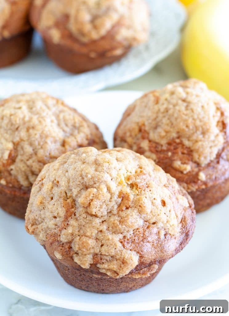 Bakery-Style Banana Bread Muffins 2 Three golden-brown banana bread muffins on a rustic plate, topped with a sweet crumble.