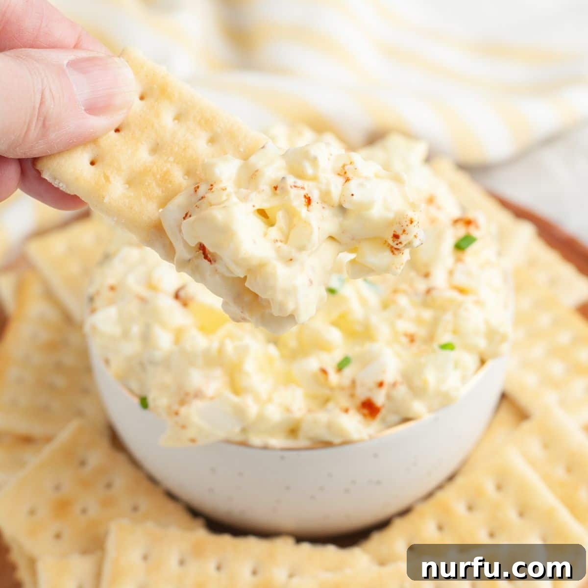 Savory Whipped Egg Dip 7 A bowl of creamy deviled egg dip, perfectly garnished with paprika and surrounded by golden Club crackers, inviting guests to enjoy this delightful party appetizer.