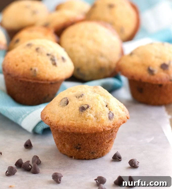 Irresistible Mini Chocolate Chip Muffins Golden brown mini chocolate chip muffins on a wooden table, ready to be enjoyed.
