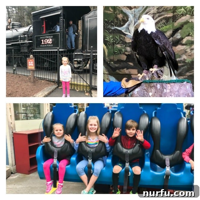 Dollywood Delights: A Family Playbook 4 Dollywood rides, including thrilling roller coasters and family-friendly attractions