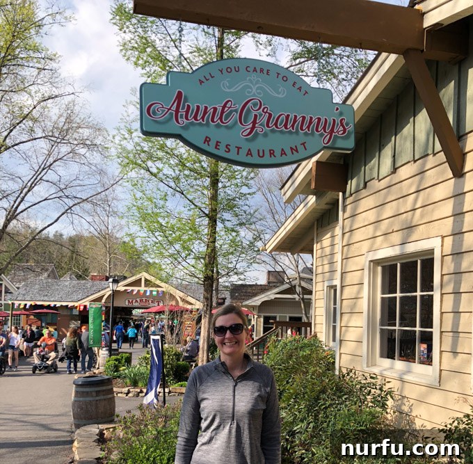 Dollywood Delights: A Family Playbook 5 Dollywood, a family-friendly theme park destination in Tennessee