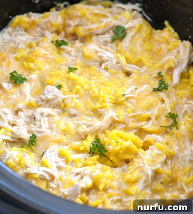 Crockpot Chicken and Rice Crockpot chicken and rice in slow cooker, ready to serve