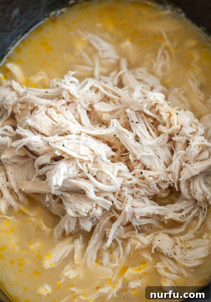 Crockpot Chicken and Rice Shredded chicken in slow cooker, ready for rice and cheese