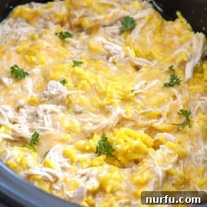 Slow cooker with shredded chicken, yellow rice and shredded cheese.