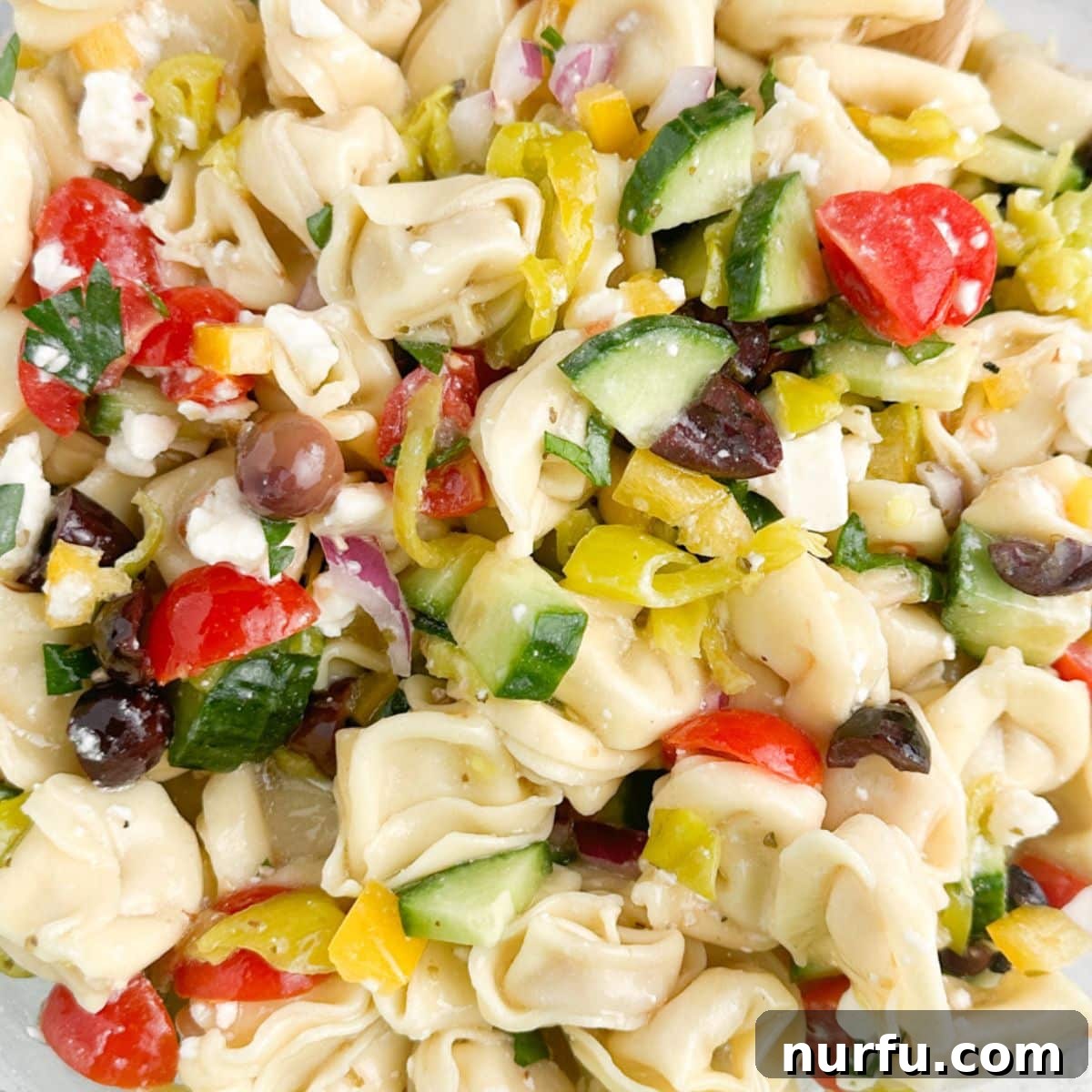 Savoring Freedom: 37 Delicious Memorial Day Recipes 15 A vibrant tortellini pasta salad with fresh cucumbers and ripe cherry tomatoes, tossed in a light dressing.