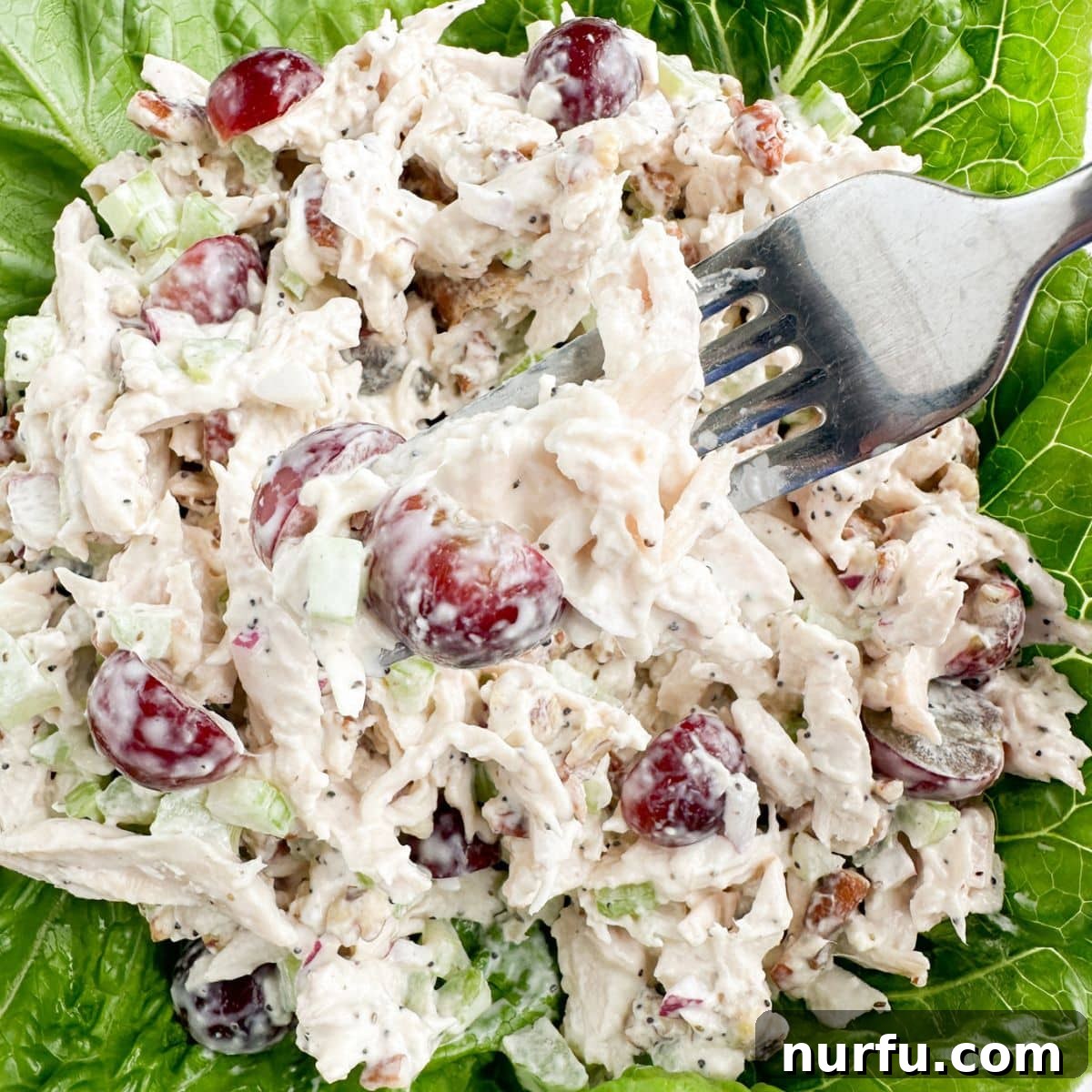 Homemade Sonoma Chicken Salad 7 A fork lifts a generous bite of Sonoma chicken salad, highlighting the tender chicken, vibrant grapes, and crunchy pecans, ready to be enjoyed.