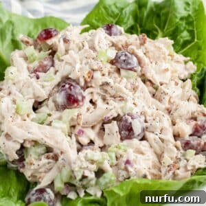 Sonoma chicken salad on a bed of lettuce.