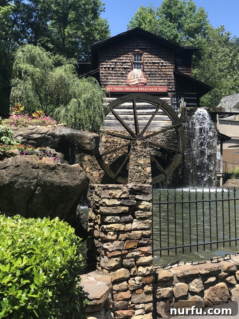 Dollywood's Tastebud Tour 2 dollywood rides