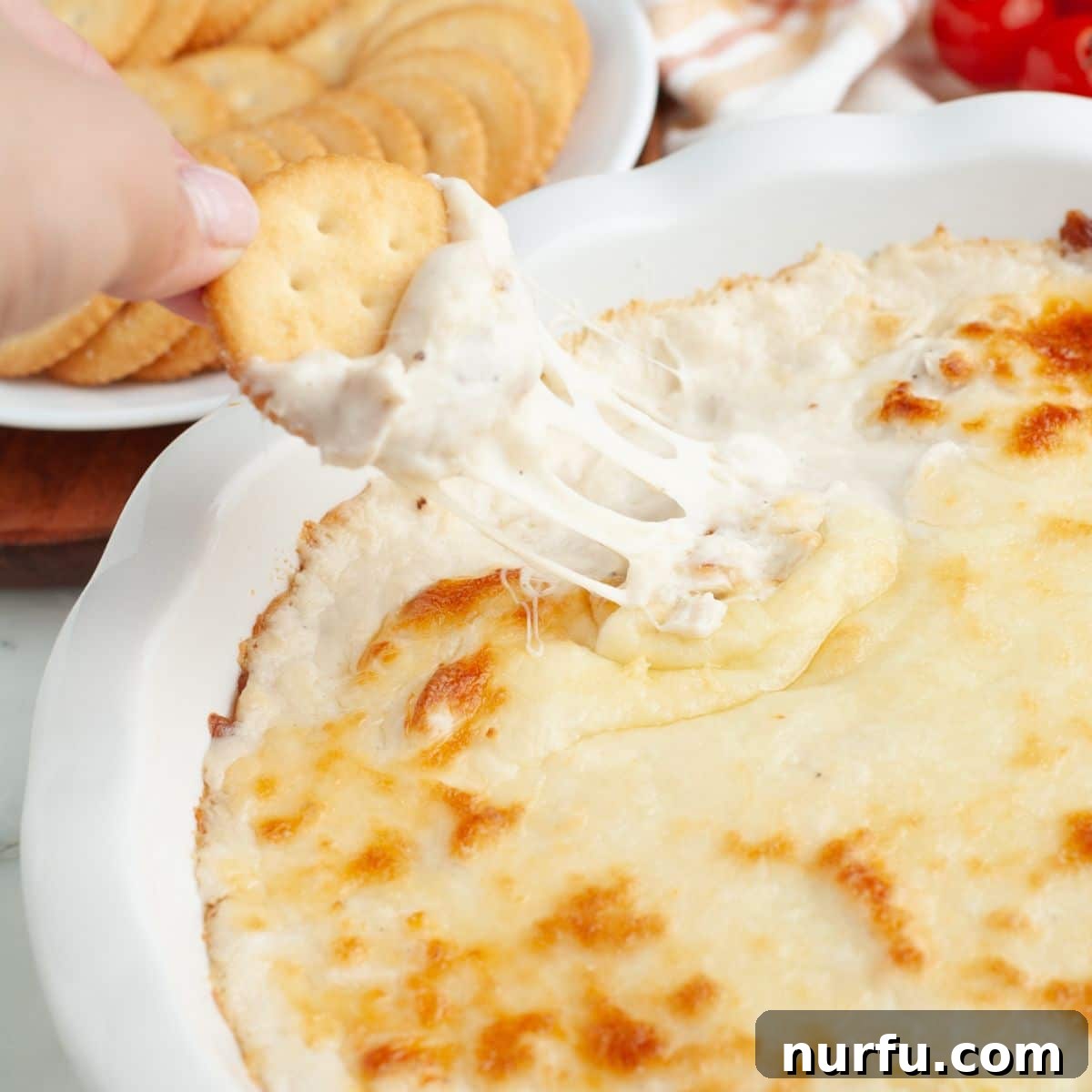 Ultimate Chicken Alfredo Dip 2 Baking dish with golden-brown chicken alfredo dip, a cracker dipped in it, and fresh parsley garnish.