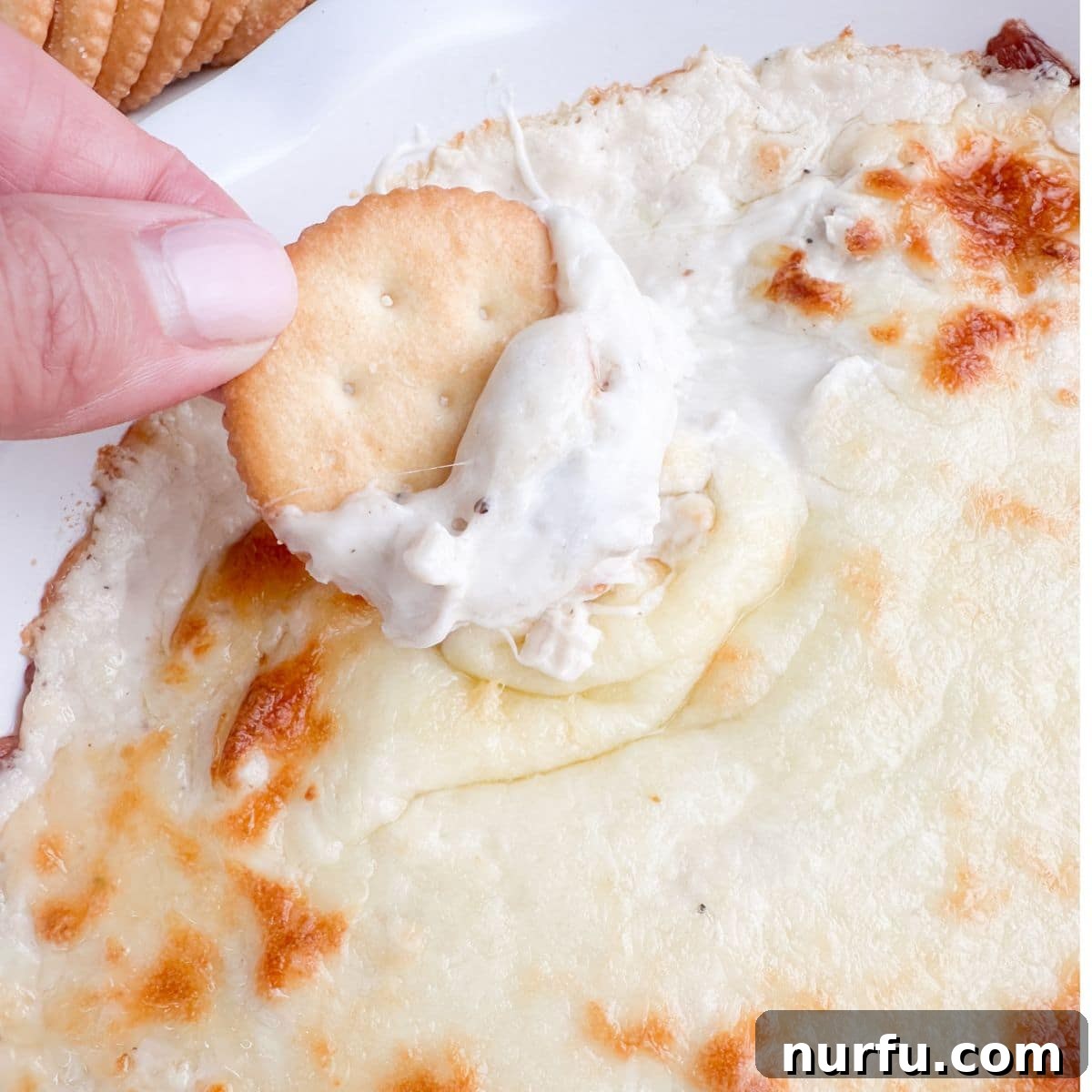 Ultimate Chicken Alfredo Dip 7 Baking dish with golden chicken alfredo dip, a cracker poised to dip, and a scattering of fresh herbs.