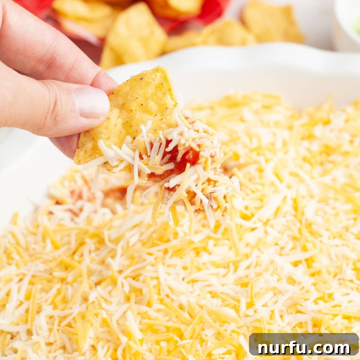 Stacked Salsa Sensation 8 A close-up of a layered salsa and cheese dip in a pie dish, with a tortilla chip perfectly dipped into the creamy layers, ready to be enjoyed.