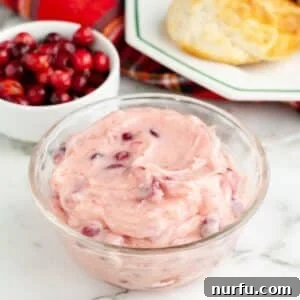 Zesty Cranberry Compound 8 A vibrant bowl of cranberry butter, perfect for spreading.