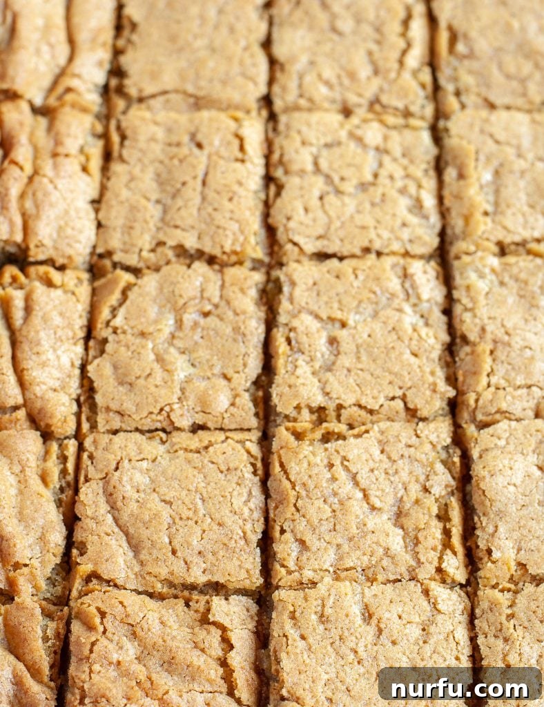 Butterscotch Brownie Squares Perfectly cut butterscotch brownies arranged in neat squares.