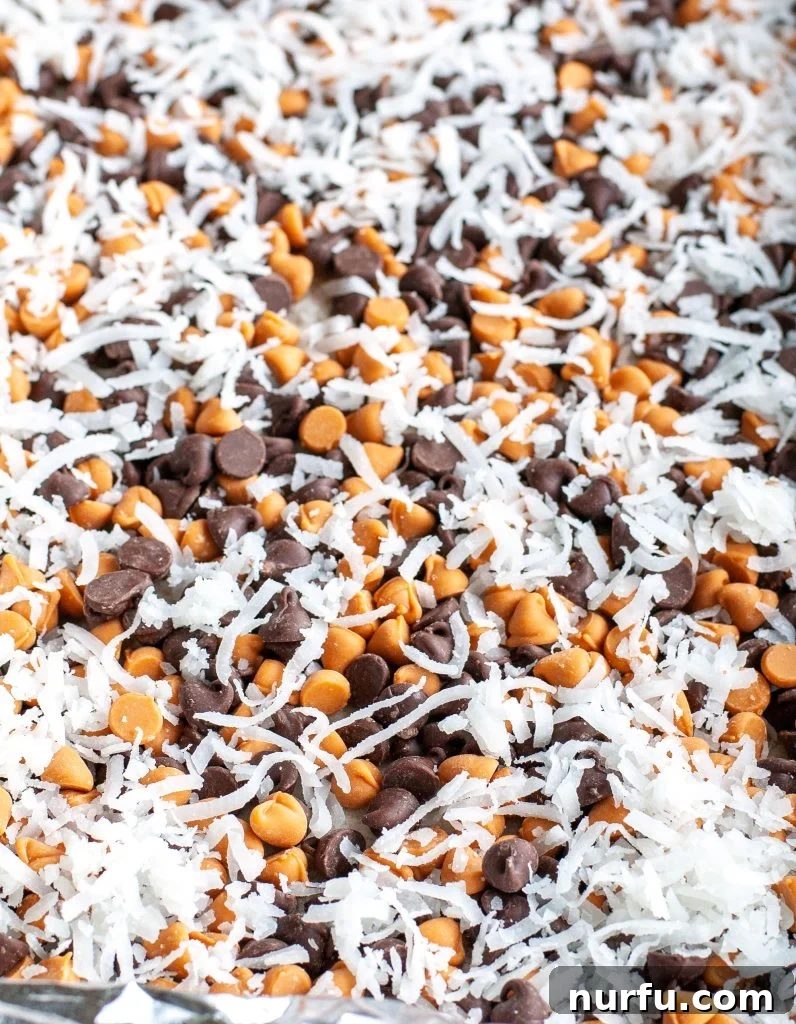 Chocolate and butterscotch chips with coconut