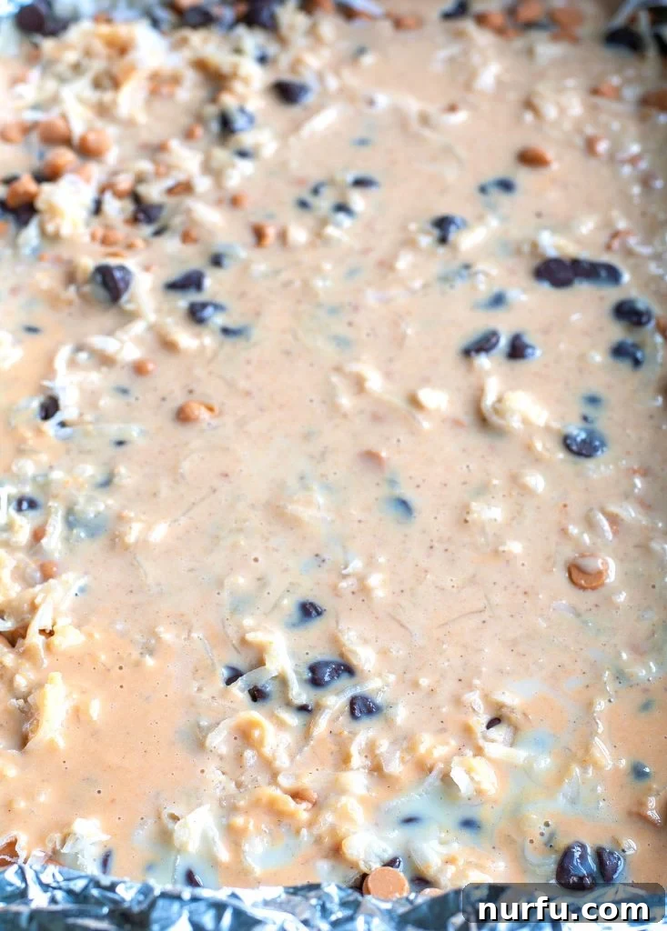 Chocolate chips, coconut with batter on top