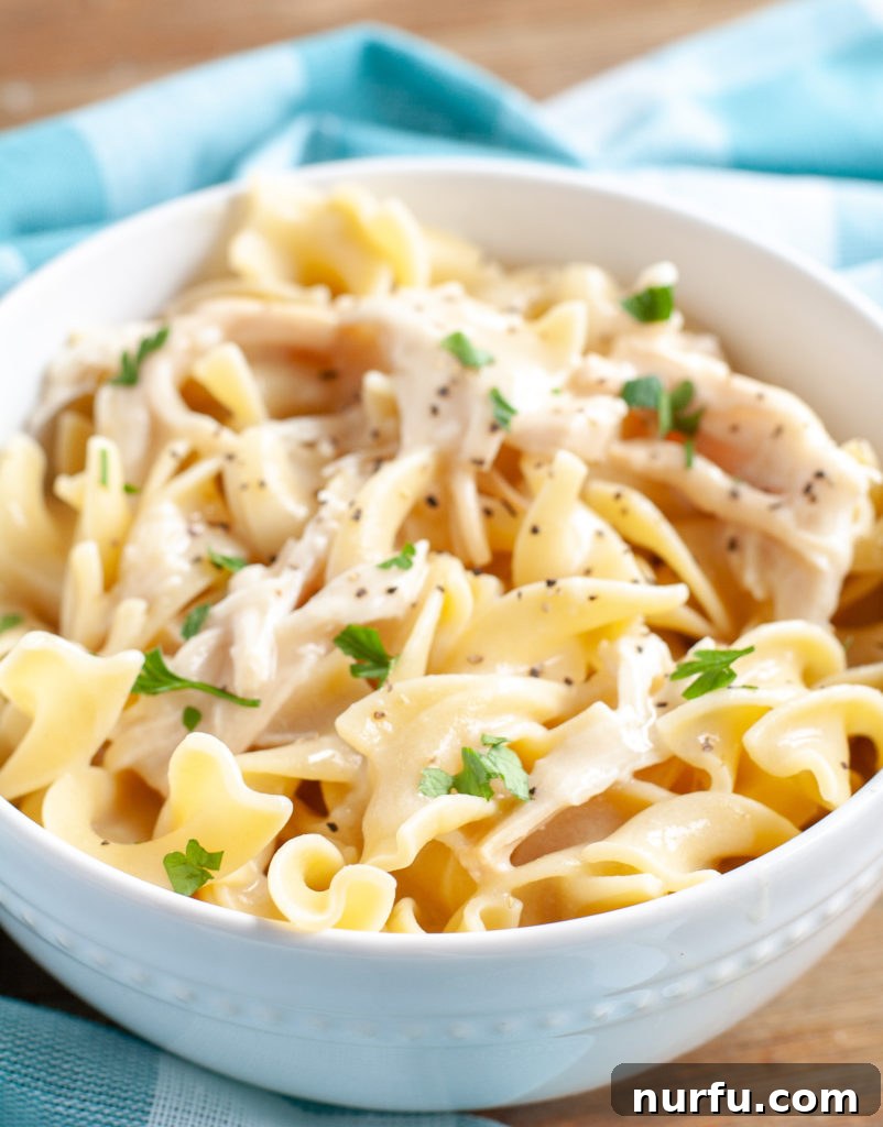 Delicious Crockpot Chicken and Noodles garnished with fresh parsley, served in a rustic bowl.
