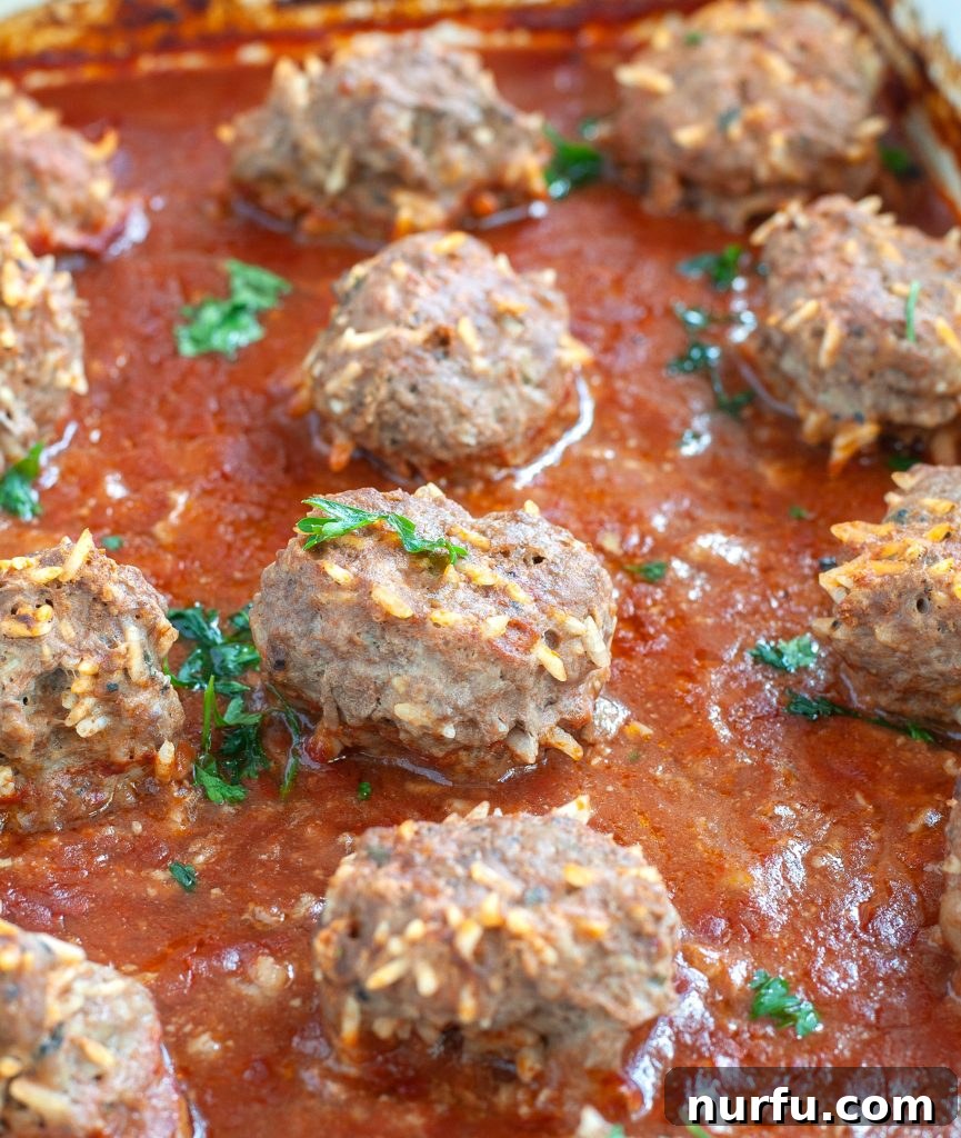 Porcupine Meatballs in Tomato Sauce Hearty Porcupine Meatballs simmering in a rich tomato sauce, ready for a family dinner.