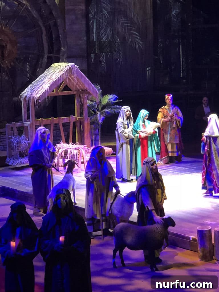 Christmas Celebration Dinner Show Christmas show nativity scene