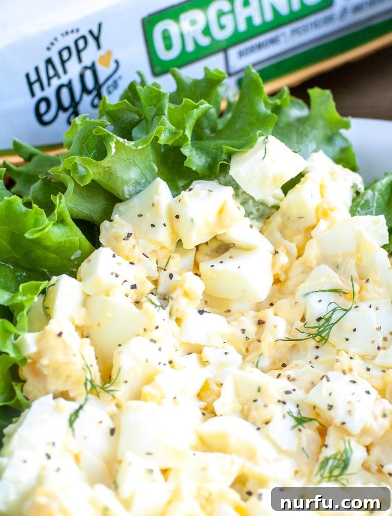 Classic Creamy Egg Salad Egg Salad in a bowl, garnished with fresh dill