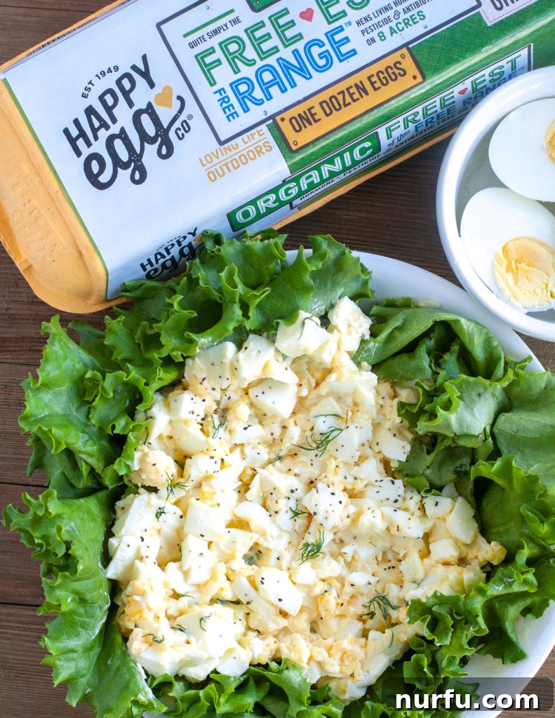 Perfectly Creamy Homemade Egg Salad 3 Freshly prepared egg salad served on a bed of crisp lettuce with a sprinkle of dill.