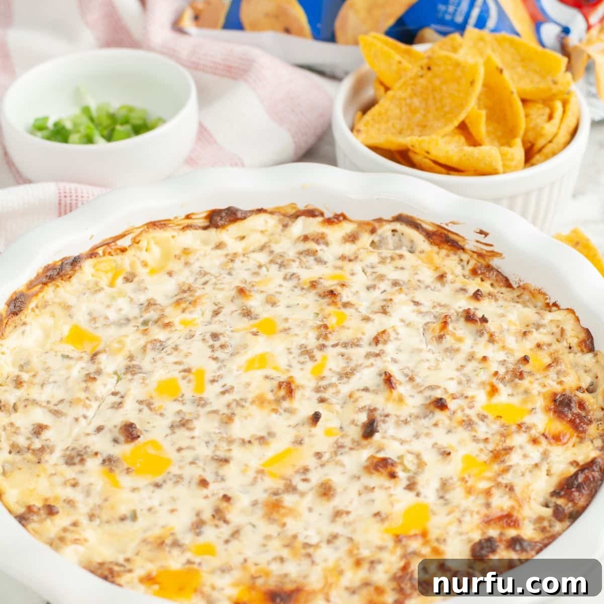 Whisker Rage Plunge 8 A bubbling hot Hissy Fit Dip in a baking dish, fresh out of the oven, garnished with green onions.