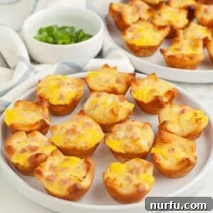 A perfectly plated stack of golden ham puffs, garnished lightly, ready to be served.
