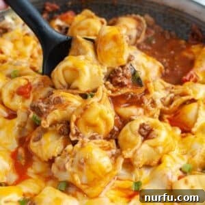 Fiesta Tortellini 10 A spoon with taco tortellini.