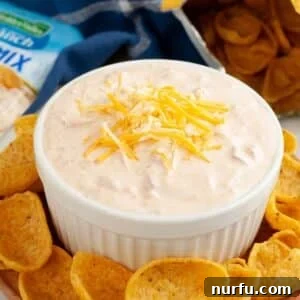 Bowl of fiesta ranch dip.