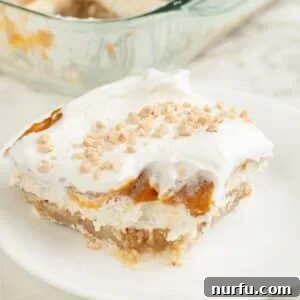 Butterscotch Dessert Recipes for Irresistible Treats 11 Piece of butterscotch delight.
