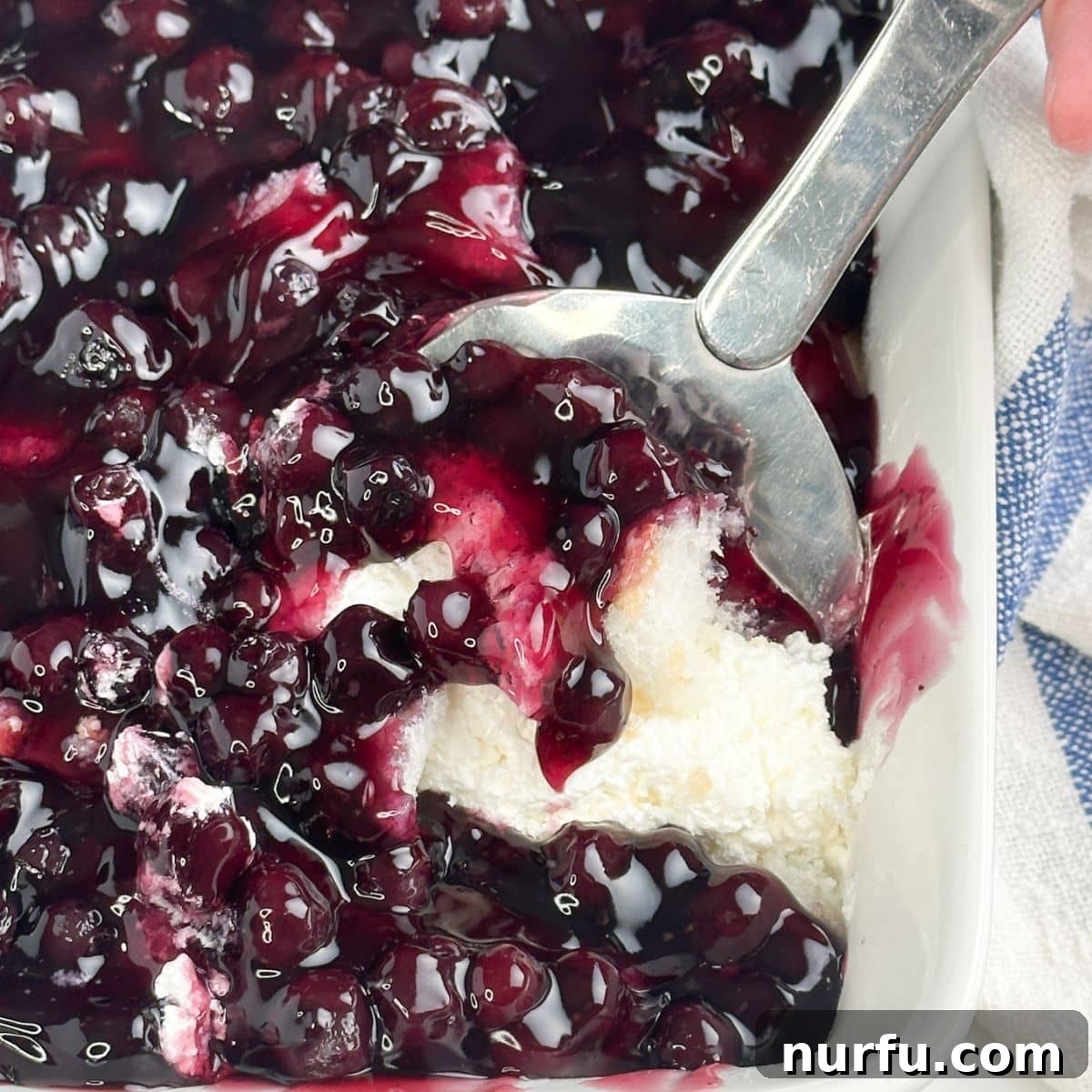 Growing Blueberries in Snowy Climates: Winter Care Tips 8 Spatula with blueberry angel food cake dessert.