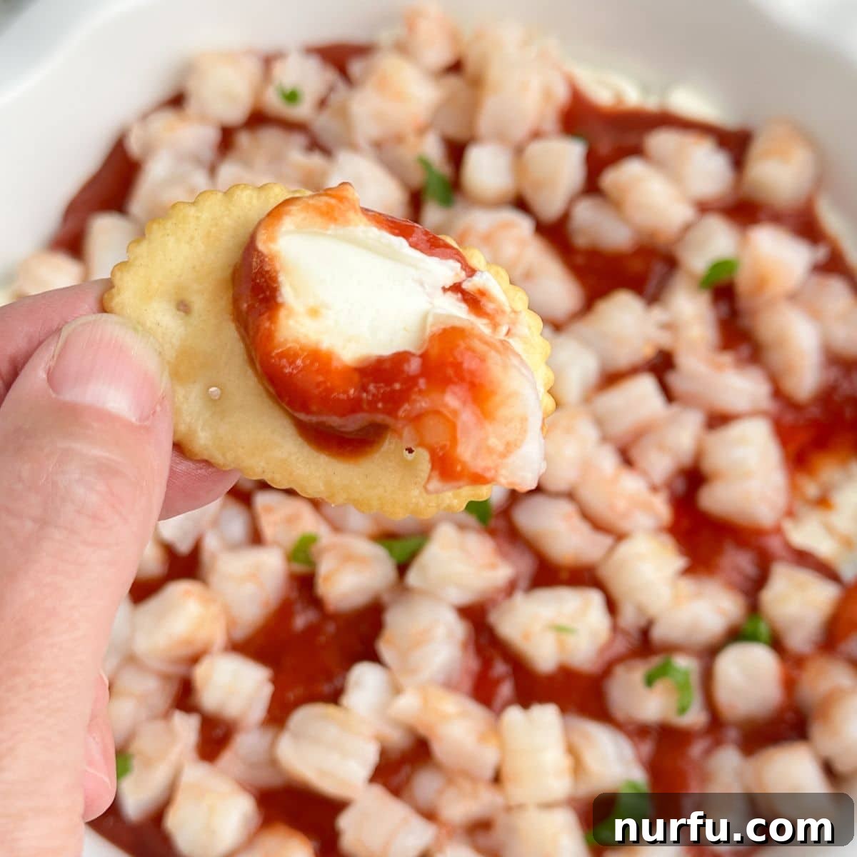 Hand holding a cracker with shrimp dip.